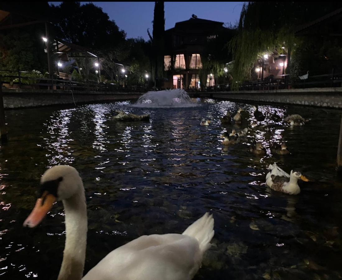 Hotel Rritja E Koranit Tushemisht Zewnętrze zdjęcie